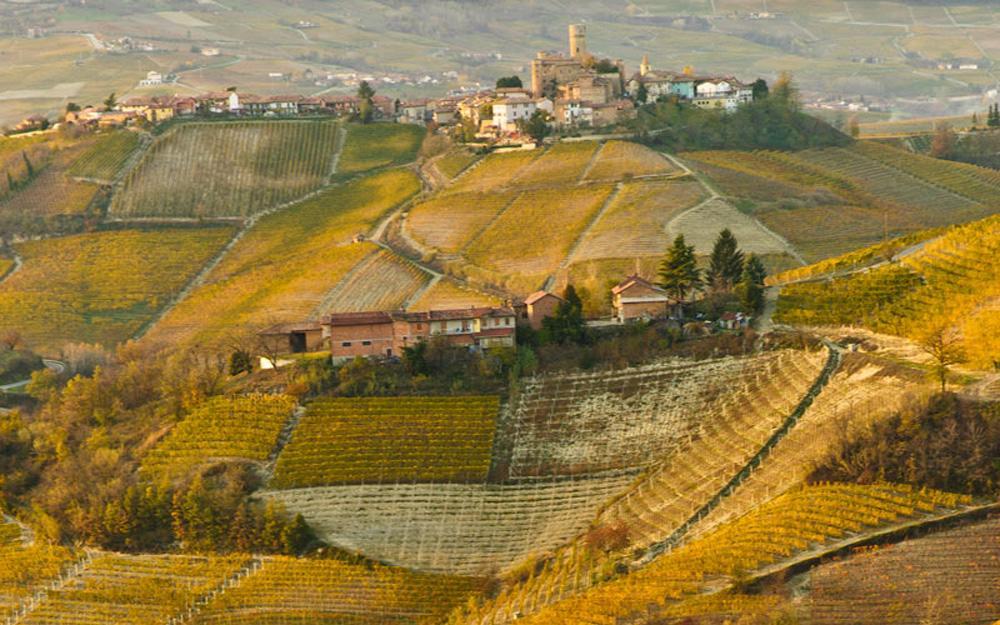Hotel Langhe & Monferrato Costigliole d'Asti Eksteriør billede